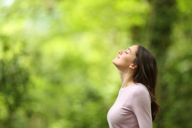 How Morning Sunlight Enhances Your Health